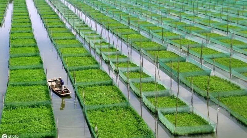 在施工过程中，要注意以下几点：