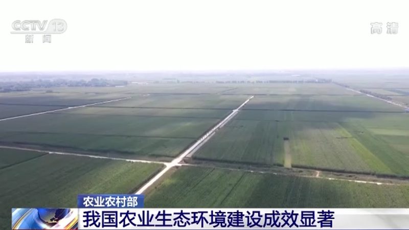 绿色食品真伪辨别方法