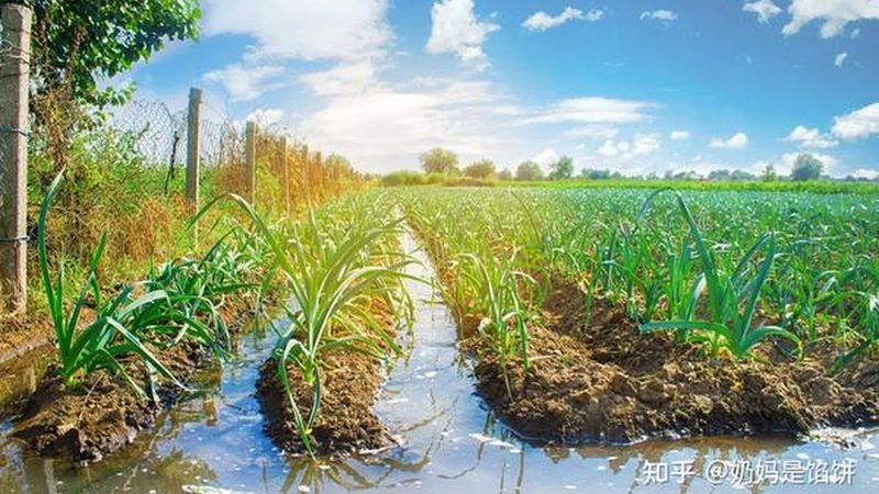 家庭农场如何选择优质品牌：揭秘选购背后的逻辑