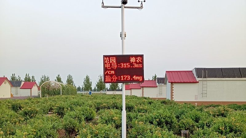 绿色食品标志：尺寸规格揭秘