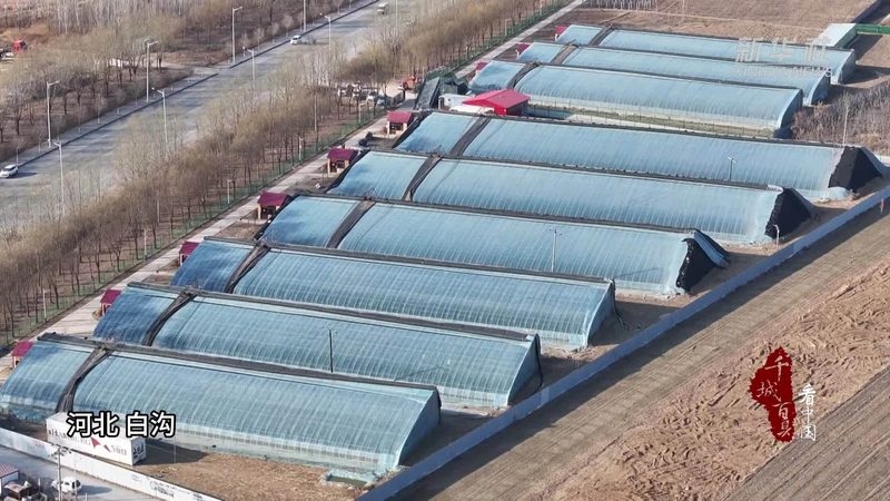 田园综合体盈利模式解析：优与劣**