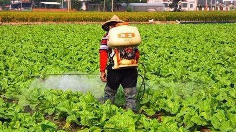 家庭无土栽培，开启绿色农业新篇章