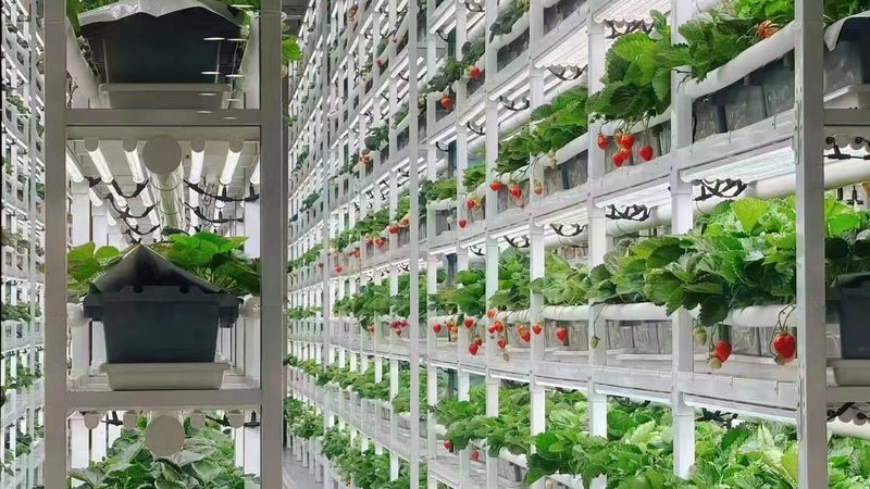 农资行业短视频获客方法推荐