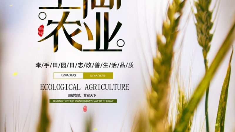 山东智慧农业示范基地：从概念热到落地难，真相是什么