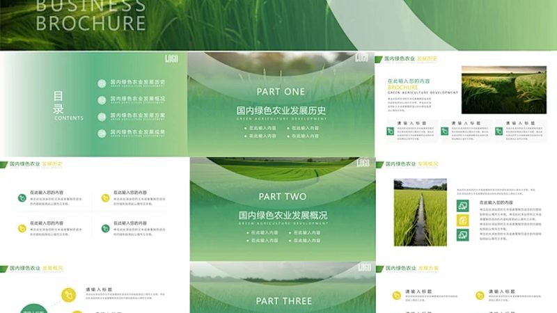 绿色食品续展产品检测标准：守护健康，筑牢食品安全防线